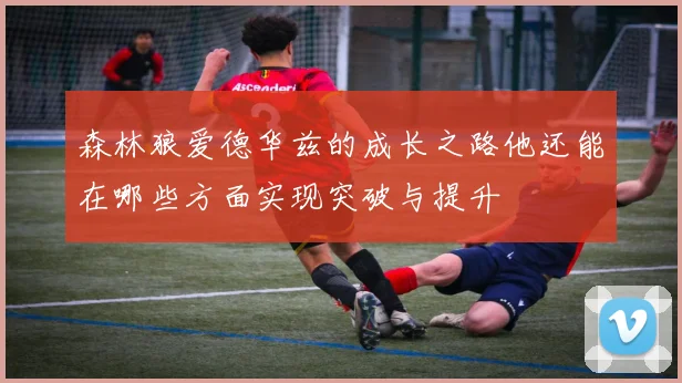 森林狼爱德华兹的成长之路他还能在哪些方面实现突破与提升