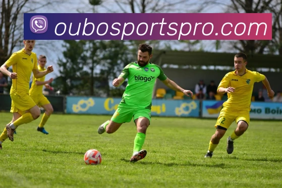 欧宝体育服务体系